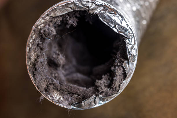 Best Emergency Air Duct Cleaning  in Hayward, WI